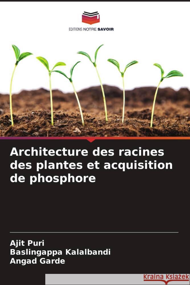 Architecture des racines des plantes et acquisition de phosphore Puri, Ajit, Kalalbandi, Baslingappa, Garde, Angad 9786204779119 Editions Notre Savoir