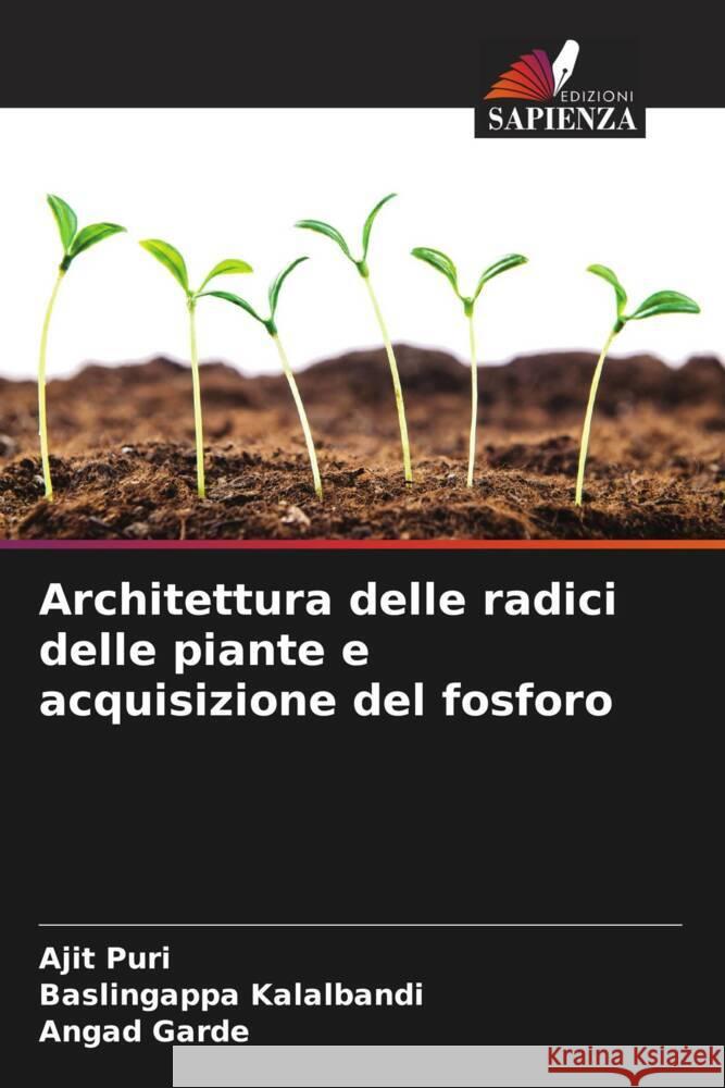 Architettura delle radici delle piante e acquisizione del fosforo Puri, Ajit, Kalalbandi, Baslingappa, Garde, Angad 9786204779126 Edizioni Sapienza