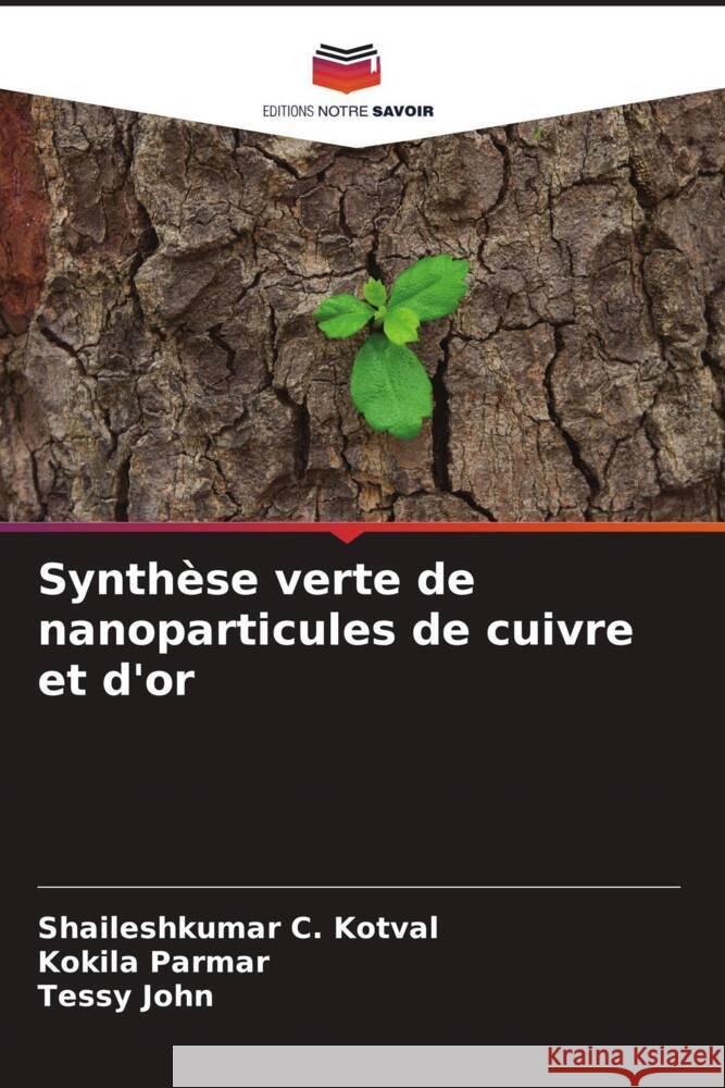 Synthèse verte de nanoparticules de cuivre et d'or Kotval, Shaileshkumar C., Parmar, Kokila, John, Tessy 9786204781808 Editions Notre Savoir