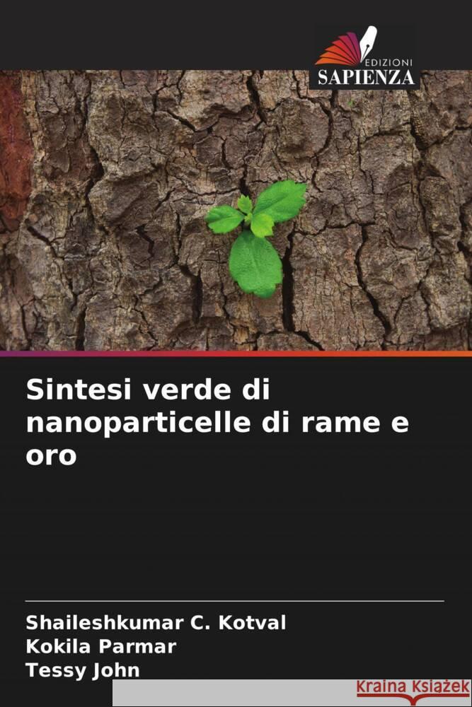 Sintesi verde di nanoparticelle di rame e oro Kotval, Shaileshkumar C., Parmar, Kokila, John, Tessy 9786204781815 Edizioni Sapienza