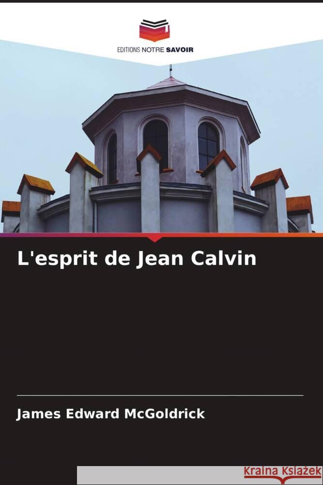 L'esprit de Jean Calvin McGoldrick, James Edward 9786204787305