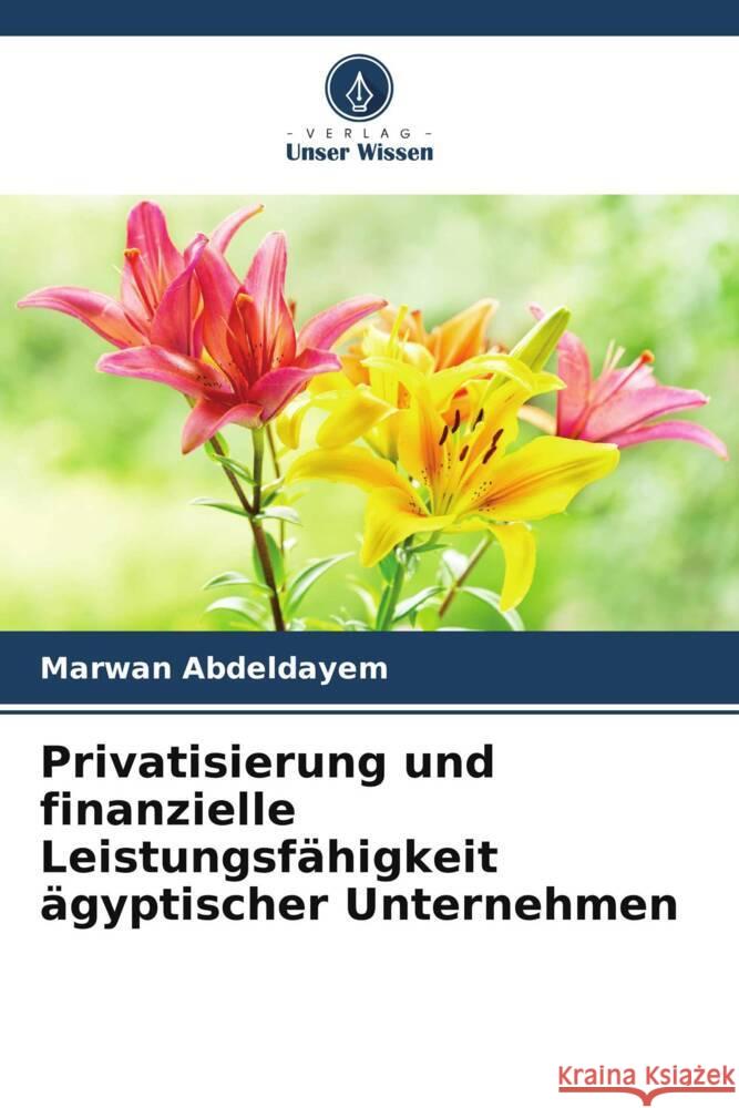 Privatisierung und finanzielle Leistungsfähigkeit ägyptischer Unternehmen Abdeldayem, Marwan 9786204807591 Verlag Unser Wissen