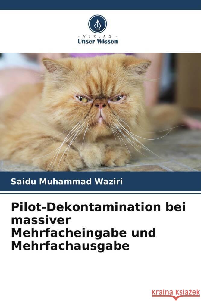 Pilot-Dekontamination bei massiver Mehrfacheingabe und Mehrfachausgabe Muhammad Waziri, Saidu 9786204829876