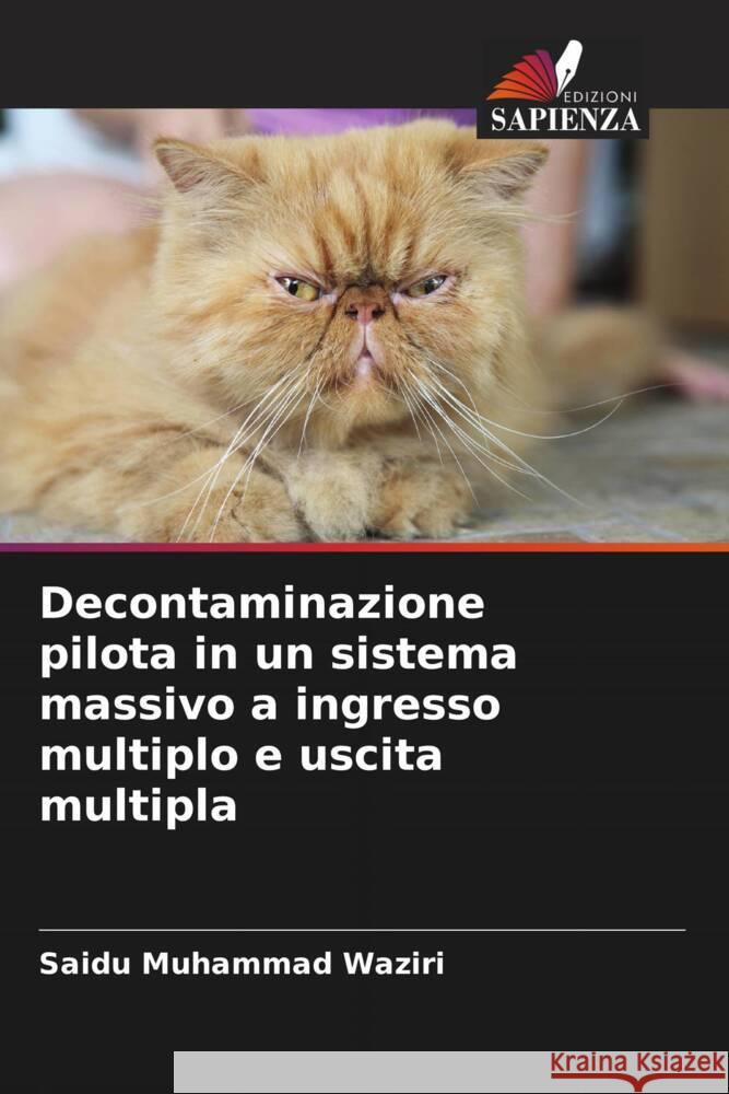 Decontaminazione pilota in un sistema massivo a ingresso multiplo e uscita multipla Muhammad Waziri, Saidu 9786204829951