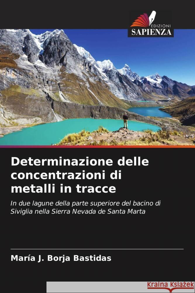 Determinazione delle concentrazioni di metalli in tracce Borja Bastidas, María J. 9786204840222