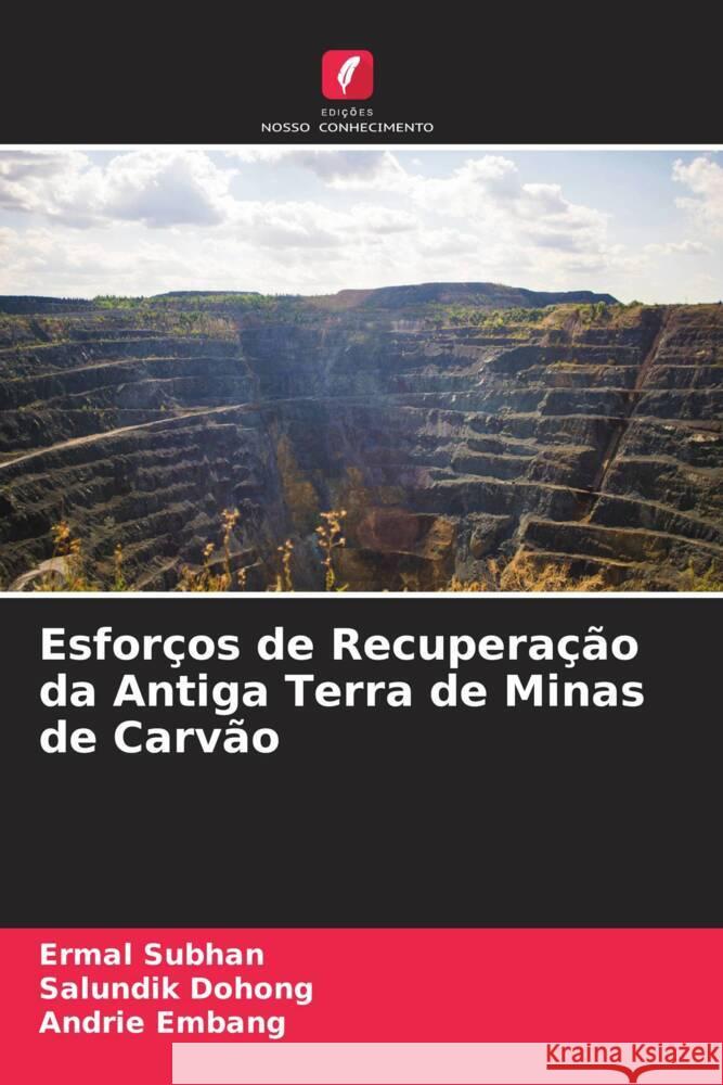 Esforços de Recuperação da Antiga Terra de Minas de Carvão Subhan, Ermal, Dohong, Salundik, Embang, Andrie 9786204845647