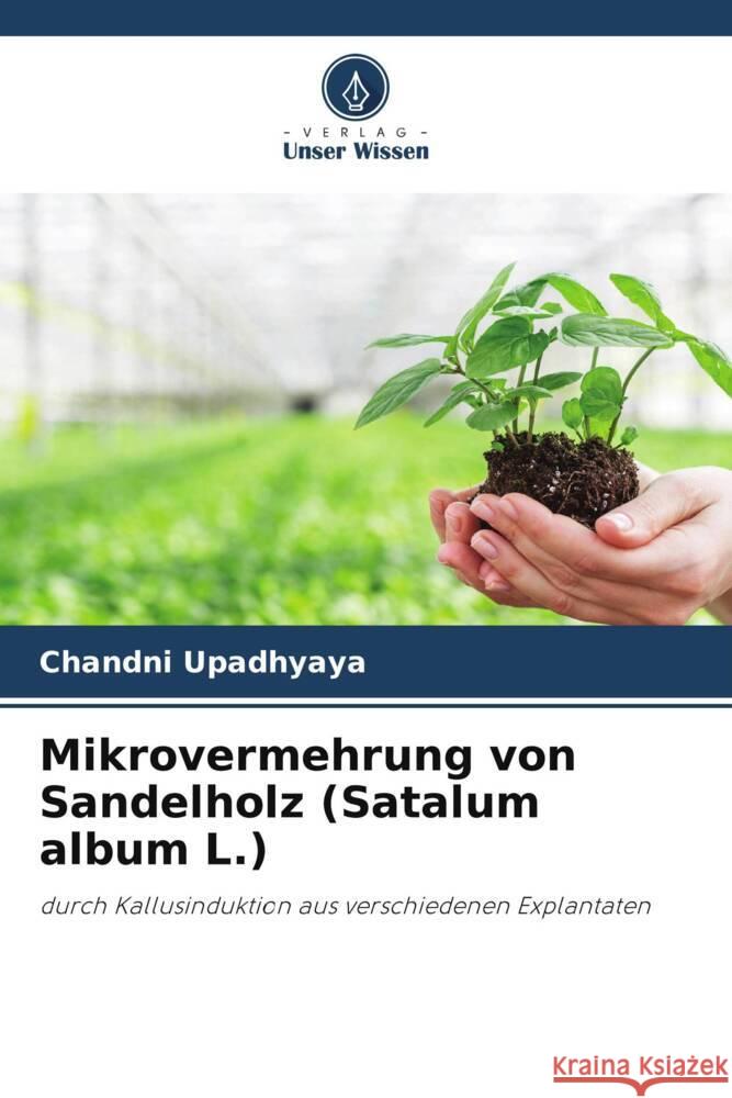 Mikrovermehrung von Sandelholz (Satalum album L.) Upadhyaya, Chandni 9786204868455