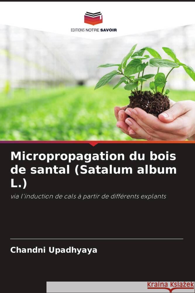 Micropropagation du bois de santal (Satalum album L.) Upadhyaya, Chandni 9786204868516