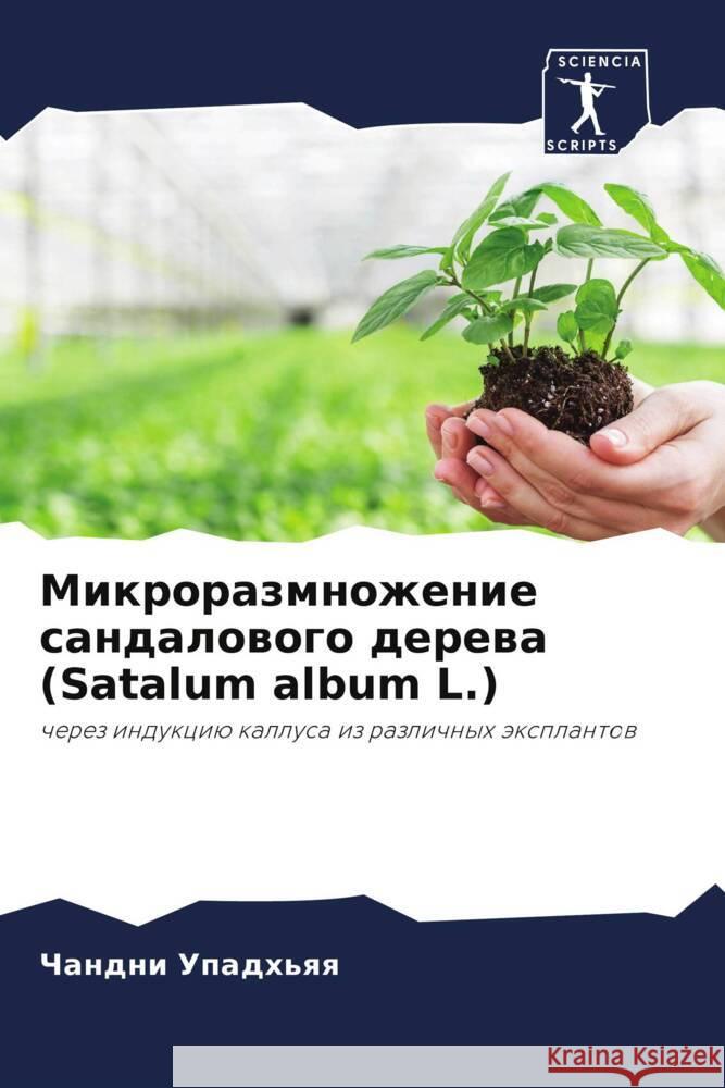 Mikrorazmnozhenie sandalowogo derewa (Satalum album L.) Upadh'qq, Chandni 9786204868530 Sciencia Scripts