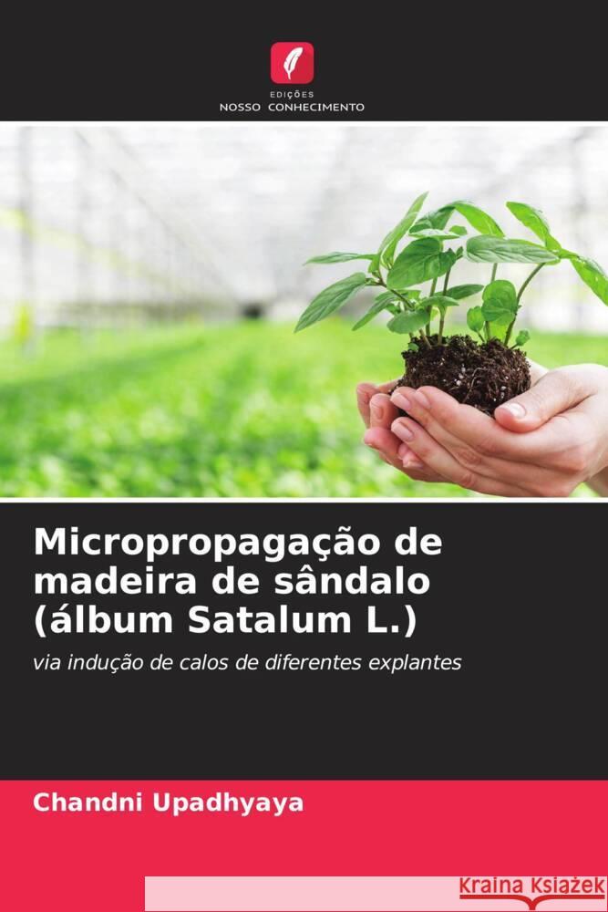 Micropropagação de madeira de sândalo (álbum Satalum L.) Upadhyaya, Chandni 9786204868776