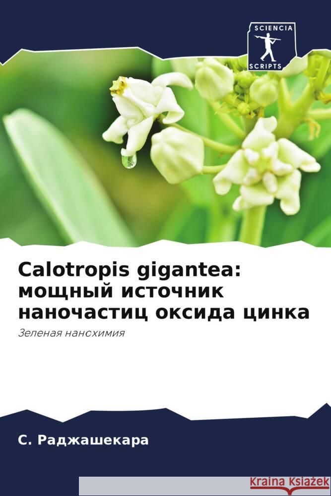 Calotropis gigantea: moschnyj istochnik nanochastic oxida cinka Radzhashekara, S., Shriwastawa, Arshika, Sumhita, Sankranthi 9786204877860