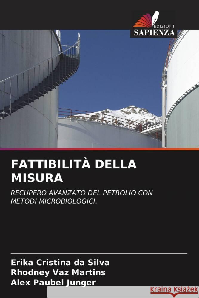 FATTIBILITÀ DELLA MISURA da Silva, Erika Cristina, Martins, Rhodney Vaz, Junger, Alex Paubel 9786204881140