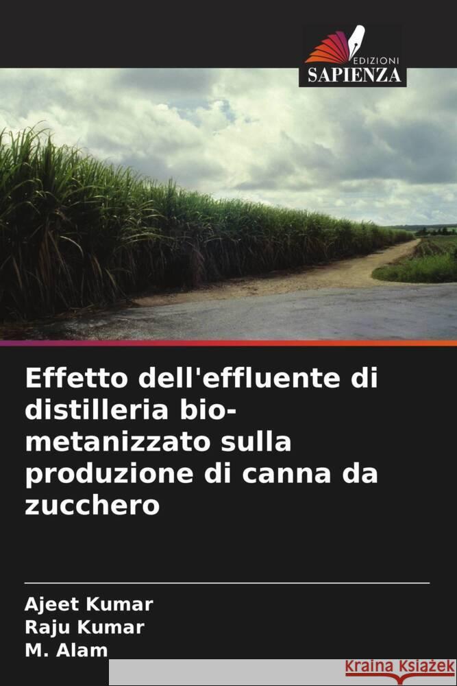 Effetto dell'effluente di distilleria bio-metanizzato sulla produzione di canna da zucchero Kumar, Ajeet, Kumar, Raju, Alam, M. 9786204890593 Edizioni Sapienza