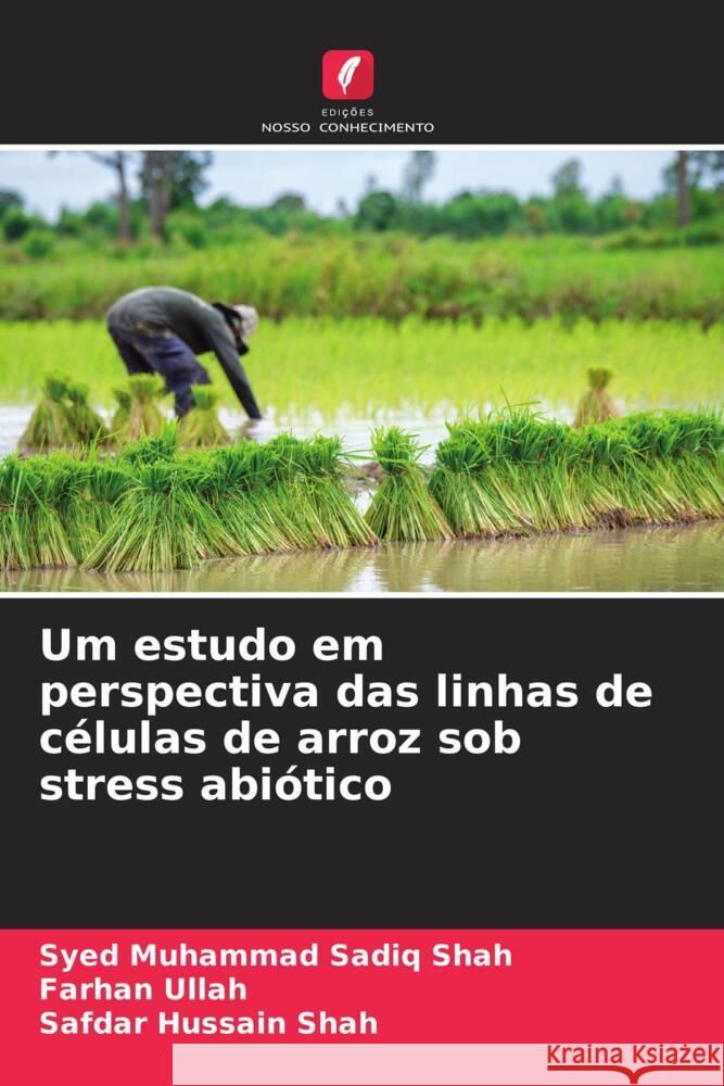 Um estudo em perspectiva das linhas de células de arroz sob stress abiótico Shah, Syed Muhammad Sadiq, Ullah, Farhan, Shah, Safdar Hussain 9786204896489