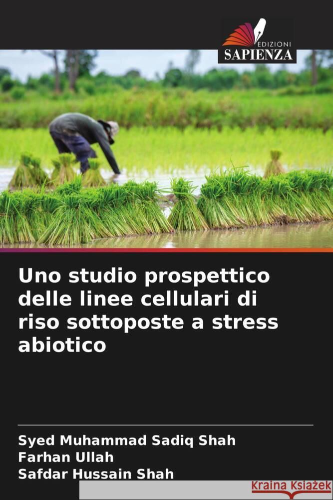 Uno studio prospettico delle linee cellulari di riso sottoposte a stress abiotico Shah, Syed Muhammad Sadiq, Ullah, Farhan, Shah, Safdar Hussain 9786204896526