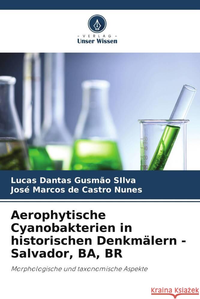 Aerophytische Cyanobakterien in historischen Denkmälern - Salvador, BA, BR Gusmão SIlva, Lucas Dantas, de Castro Nunes, José Marcos 9786204913926