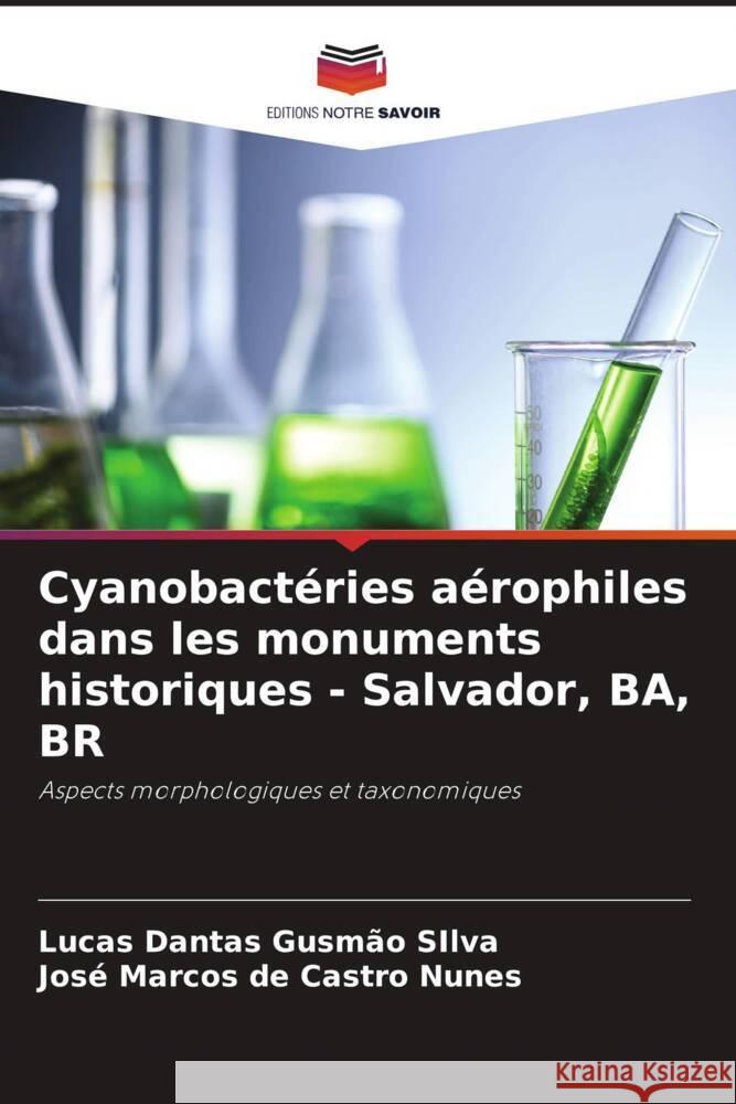 Cyanobactéries aérophiles dans les monuments historiques - Salvador, BA, BR Gusmão SIlva, Lucas Dantas, de Castro Nunes, José Marcos 9786204913933