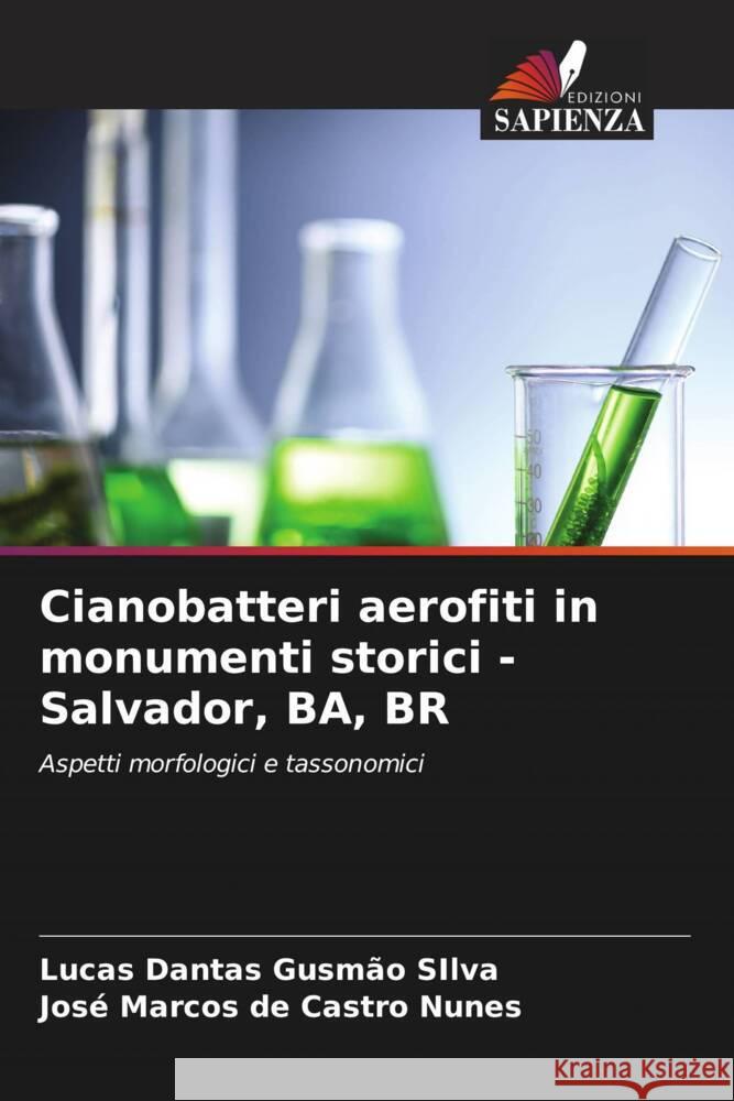 Cianobatteri aerofiti in monumenti storici - Salvador, BA, BR Gusmão SIlva, Lucas Dantas, de Castro Nunes, José Marcos 9786204913940