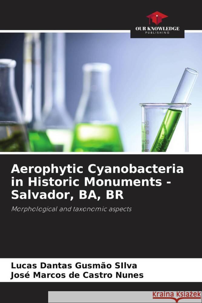 Aerophytic Cyanobacteria in Historic Monuments - Salvador, BA, BR Gusmão SIlva, Lucas Dantas, de Castro Nunes, José Marcos 9786204914008