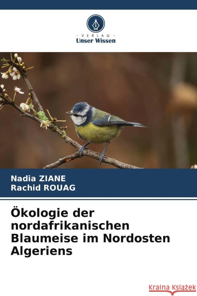 Ökologie der nordafrikanischen Blaumeise im Nordosten Algeriens Ziane, Nadia, Rouag, Rachid 9786204922270 Verlag Unser Wissen