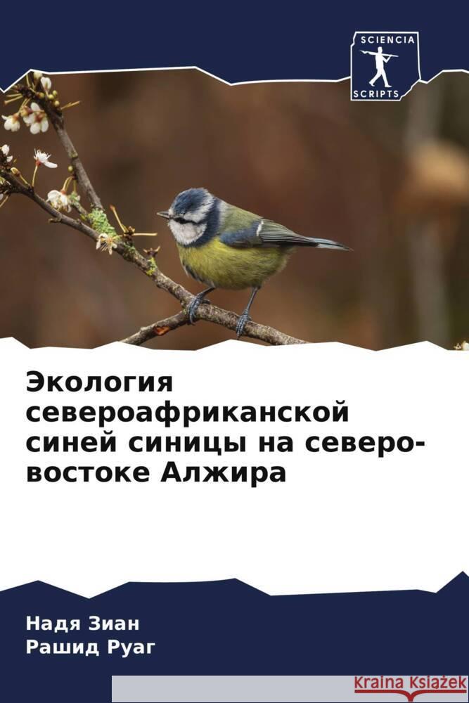 Jekologiq seweroafrikanskoj sinej sinicy na sewero-wostoke Alzhira Zian, Nadq, Ruag, Rashid 9786204922324 Sciencia Scripts