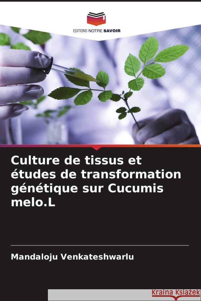 Culture de tissus et études de transformation génétique sur Cucumis melo.L Venkateshwarlu, Mandaloju 9786204924823