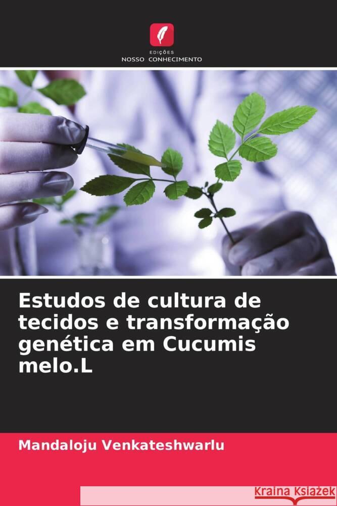 Estudos de cultura de tecidos e transformação genética em Cucumis melo.L Venkateshwarlu, Mandaloju 9786204924847