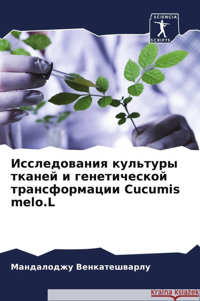 Issledowaniq kul'tury tkanej i geneticheskoj transformacii Cucumis melo.L Venkateshwarlu, Mandalodzhu 9786204924854