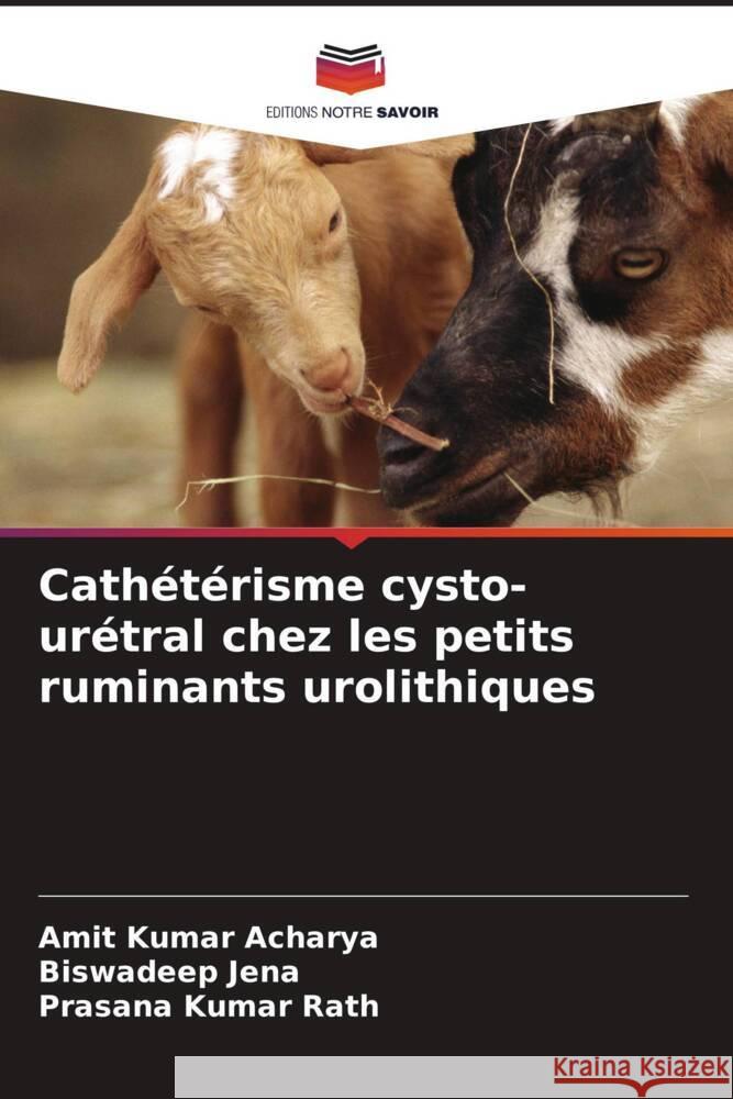 Cathétérisme cysto-urétral chez les petits ruminants urolithiques Acharya, Amit Kumar, Jena, Biswadeep, Kumar Rath, Prasana 9786204933788