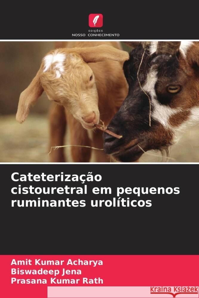 Cateterização cistouretral em pequenos ruminantes urolíticos Acharya, Amit Kumar, Jena, Biswadeep, Rath, Prasana Kumar 9786204933795