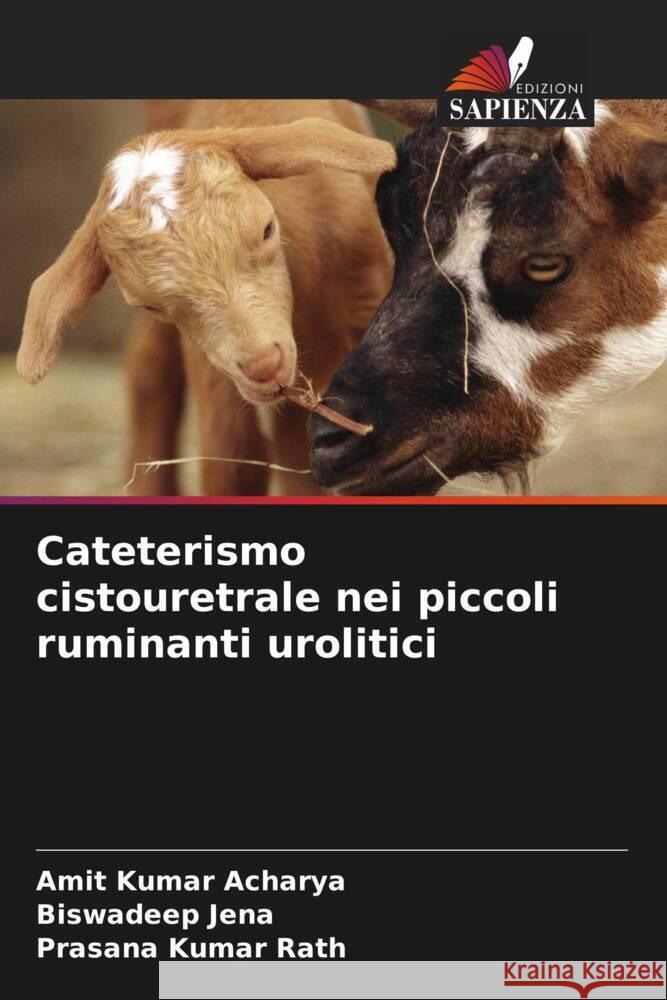 Cateterismo cistouretrale nei piccoli ruminanti urolitici Acharya, Amit Kumar, Jena, Biswadeep, Rath, Prasana Kumar 9786204933818