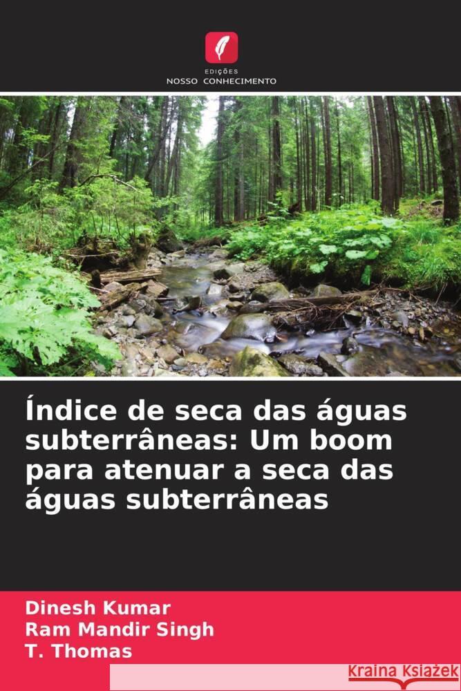 Índice de seca das águas subterrâneas: Um boom para atenuar a seca das águas subterrâneas Kumar, Dinesh, Singh, Ram Mandir, Thomas, T. 9786204934051 Edições Nosso Conhecimento