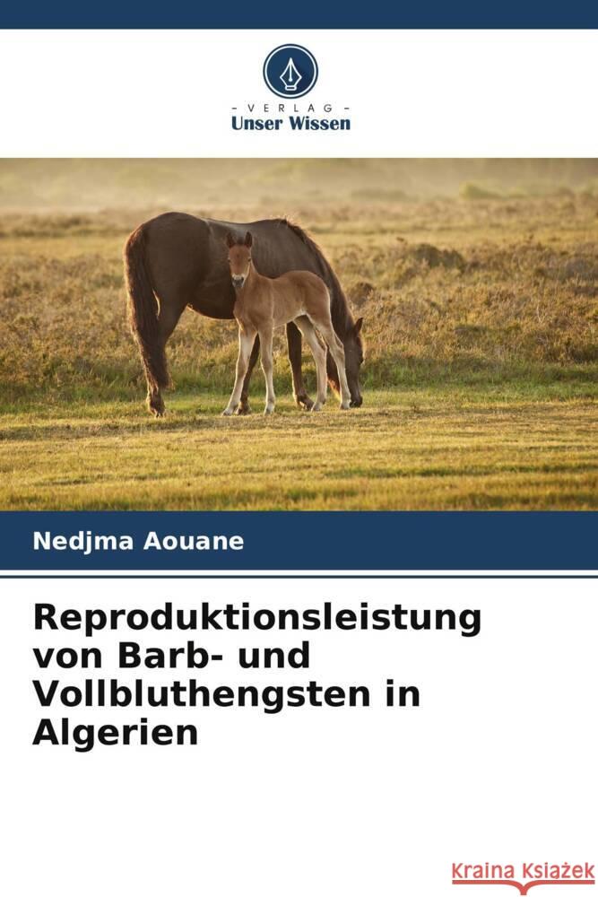 Reproduktionsleistung von Barb- und Vollbluthengsten in Algerien Aouane, Nedjma 9786204937328 Verlag Unser Wissen