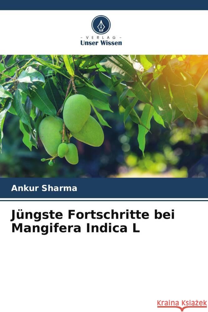 Jüngste Fortschritte bei Mangifera Indica L Sharma, Ankur 9786204947235