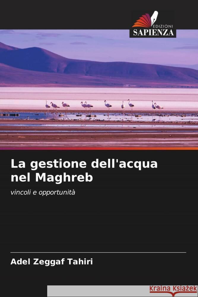 La gestione dell'acqua nel Maghreb Zeggaf Tahiri, Adel 9786204949734 Edizioni Sapienza
