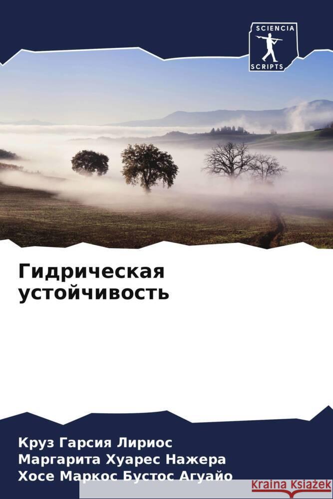 Gidricheskaq ustojchiwost' Garsiq Lirios, Kruz, Huares Nazhera, Margarita, Bustos Aguajo, Hose Markos 9786204994451 Sciencia Scripts