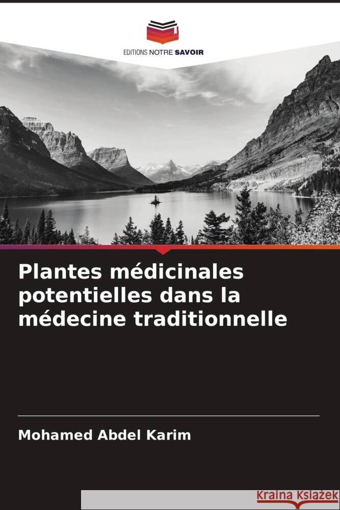 Plantes médicinales potentielles dans la médecine traditionnelle Abdel Karim, Mohamed 9786204999593