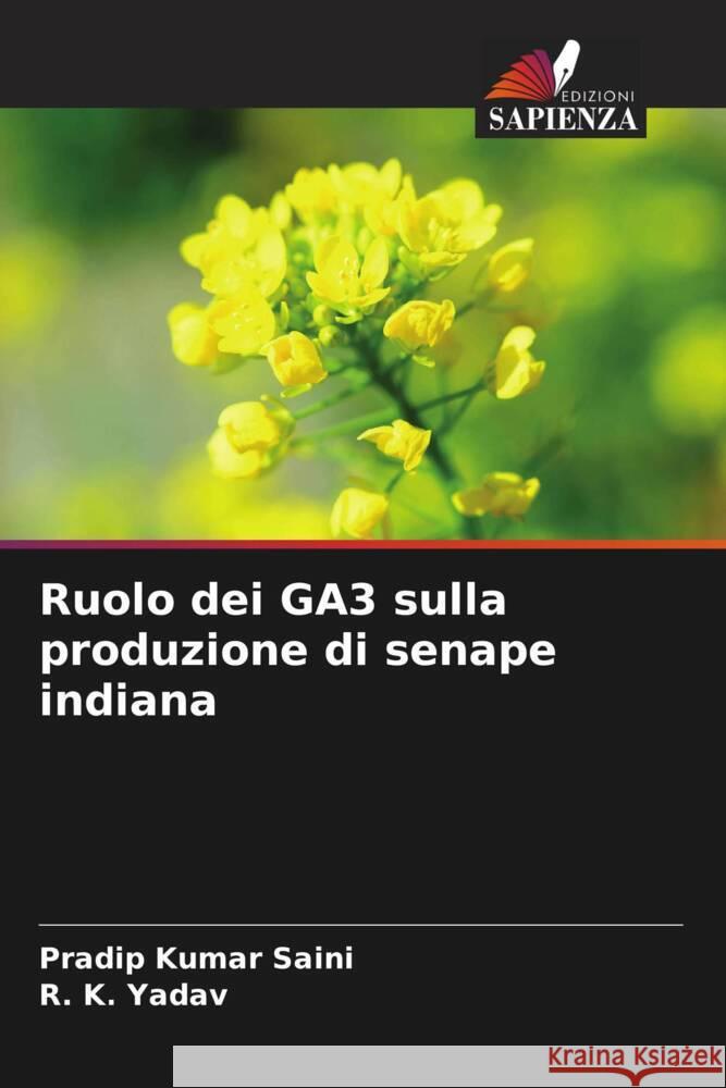 Ruolo dei GA3 sulla produzione di senape indiana Saini, Pradip Kumar, Yadav, R. K. 9786205000304