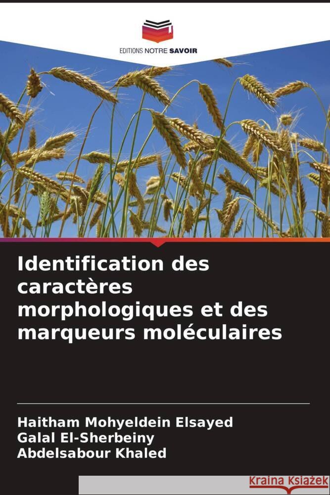Identification des caractères morphologiques et des marqueurs moléculaires Elsayed, Haitham Mohyeldein, El-Sherbeiny, Galal, Khaled, Abdelsabour 9786205014783