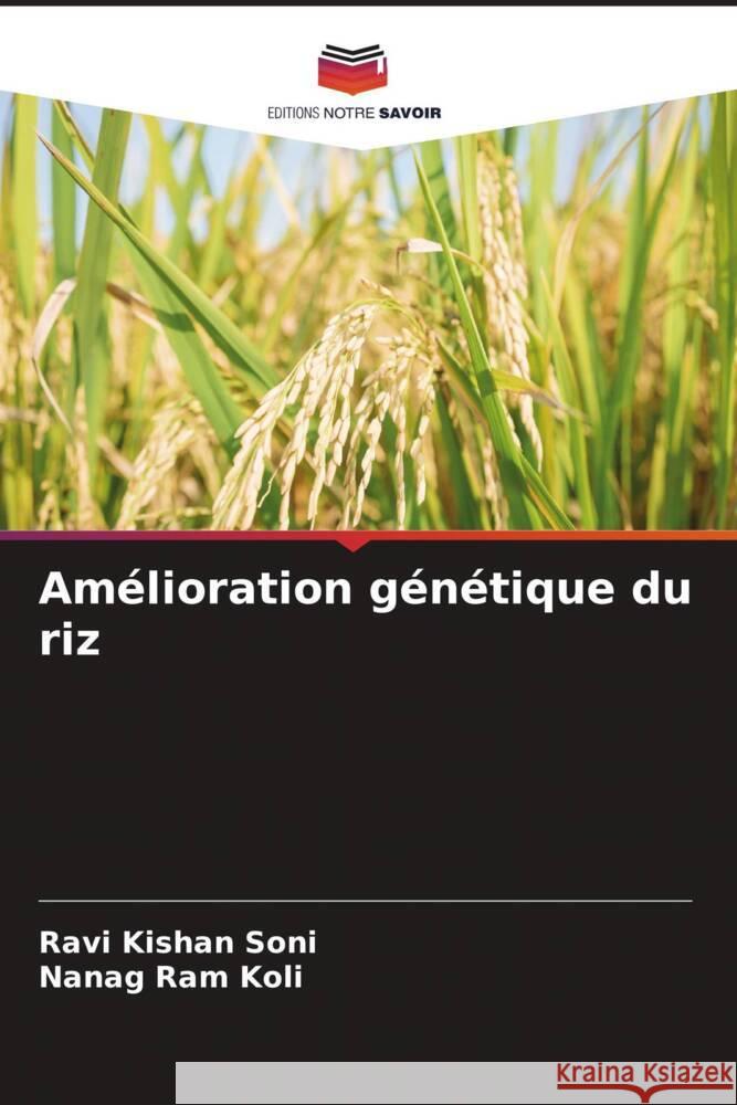 Amélioration génétique du riz Soni, Ravi Kishan, Koli, Nanag Ram 9786205018705