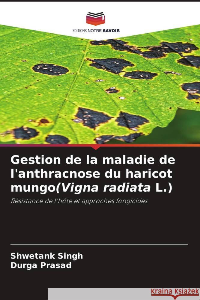 Gestion de la maladie de l'anthracnose du haricot mungo(Vigna radiata L.) Singh, Shwetank, Prasad, Durga 9786205030639 Editions Notre Savoir