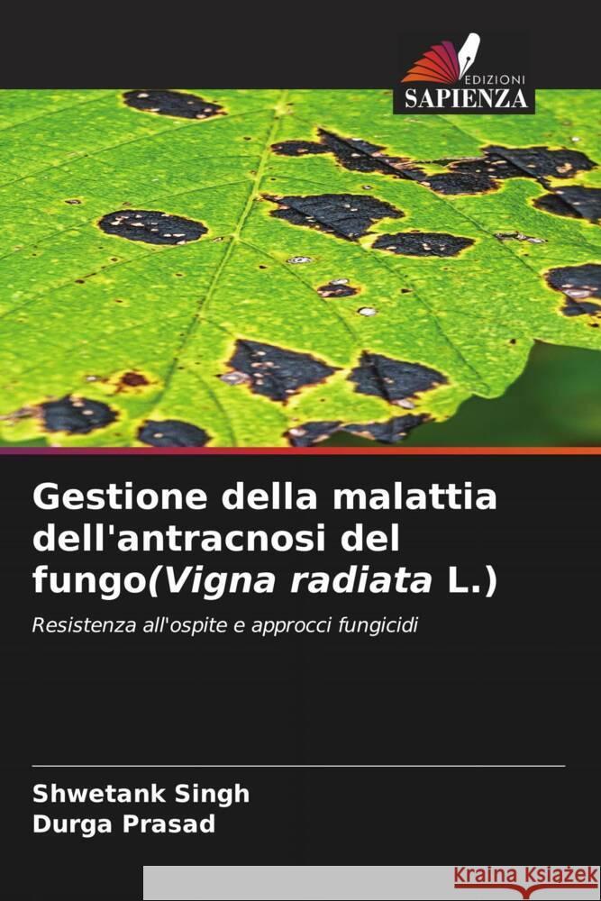 Gestione della malattia dell'antracnosi del fungo(Vigna radiata L.) Singh, Shwetank, Prasad, Durga 9786205030646 Edizioni Sapienza