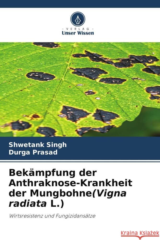 Bekämpfung der Anthraknose-Krankheit der Mungbohne(Vigna radiata L.) Singh, Shwetank, Prasad, Durga 9786205030677 Verlag Unser Wissen