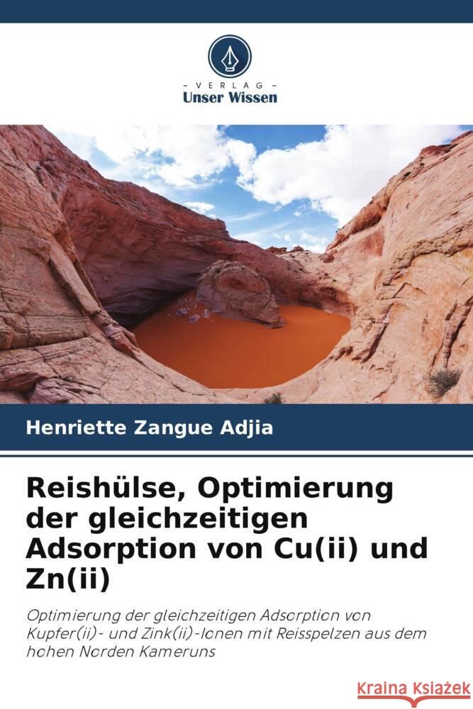 Reishülse, Optimierung der gleichzeitigen Adsorption von Cu(ii) und Zn(ii) Zangue Adjia, Henriette 9786205031339 Verlag Unser Wissen