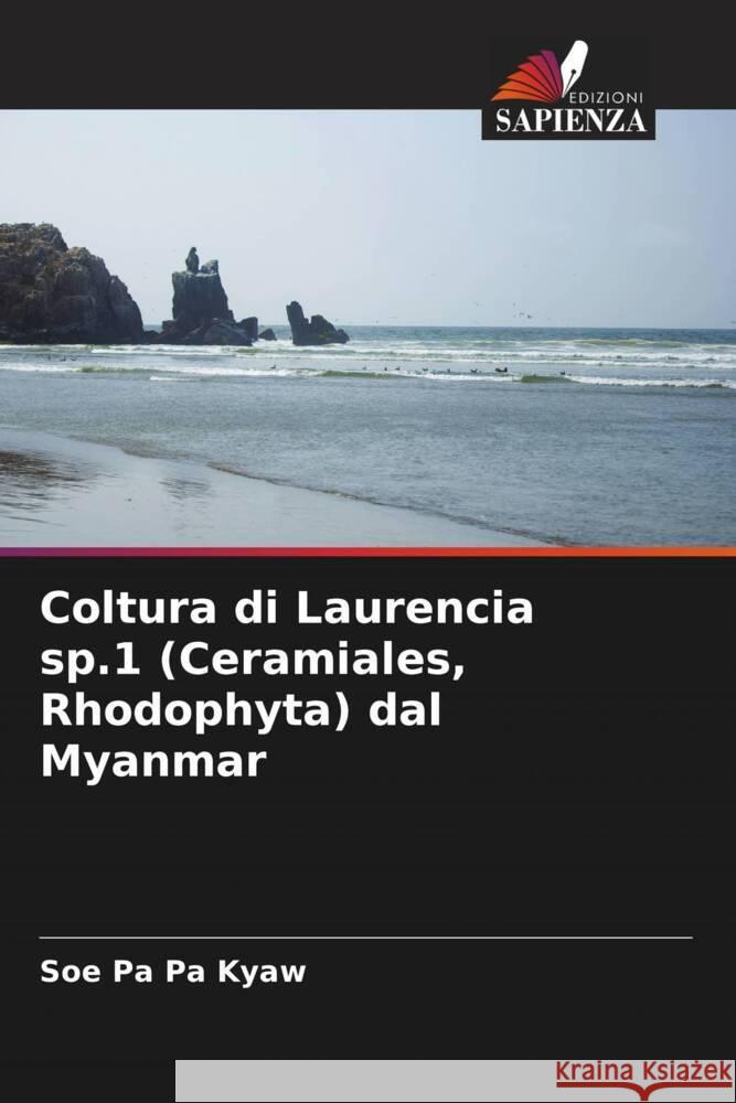 Coltura di Laurencia sp.1 (Ceramiales, Rhodophyta) dal Myanmar Kyaw, Soe Pa Pa 9786205034927