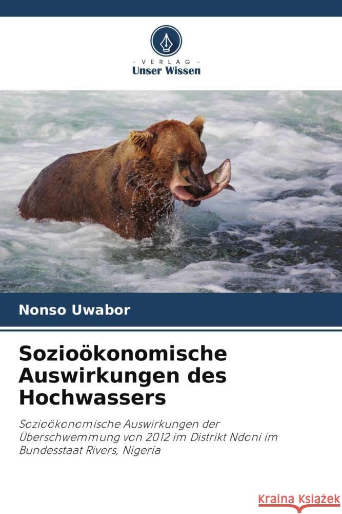 Sozioökonomische Auswirkungen des Hochwassers Uwabor, Nonso 9786205057247 Verlag Unser Wissen