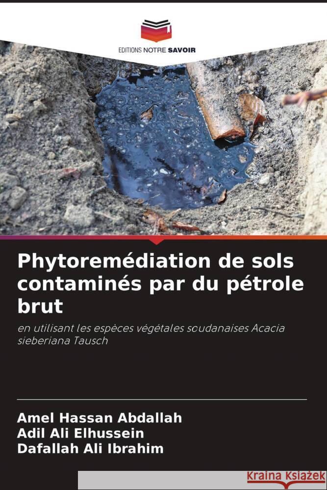 Phytoremédiation de sols contaminés par du pétrole brut Abdallah, Amel Hassan, Elhussein, Adil Ali, Ibrahim, Dafallah Ali 9786205073599 Editions Notre Savoir