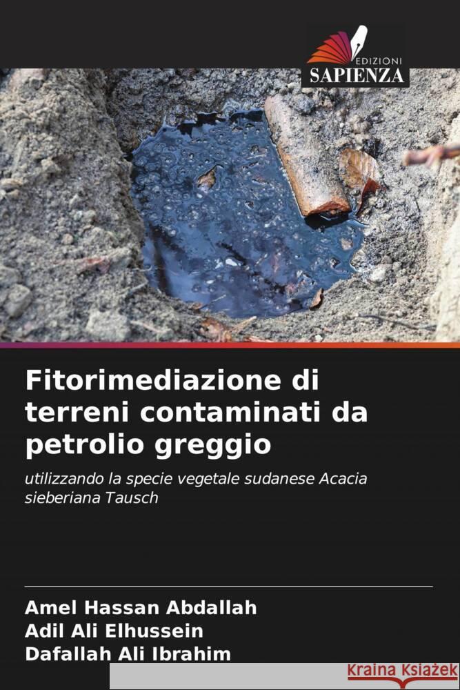 Fitorimediazione di terreni contaminati da petrolio greggio Abdallah, Amel Hassan, Elhussein, Adil Ali, Ibrahim, Dafallah Ali 9786205073629 Edizioni Sapienza