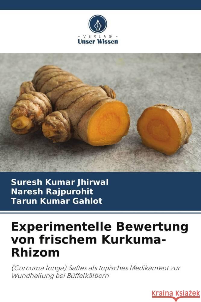 Experimentelle Bewertung von frischem Kurkuma-Rhizom Jhirwal, Suresh Kumar, Rajpurohit, Naresh, Gahlot, Tarun Kumar 9786205085523 Verlag Unser Wissen