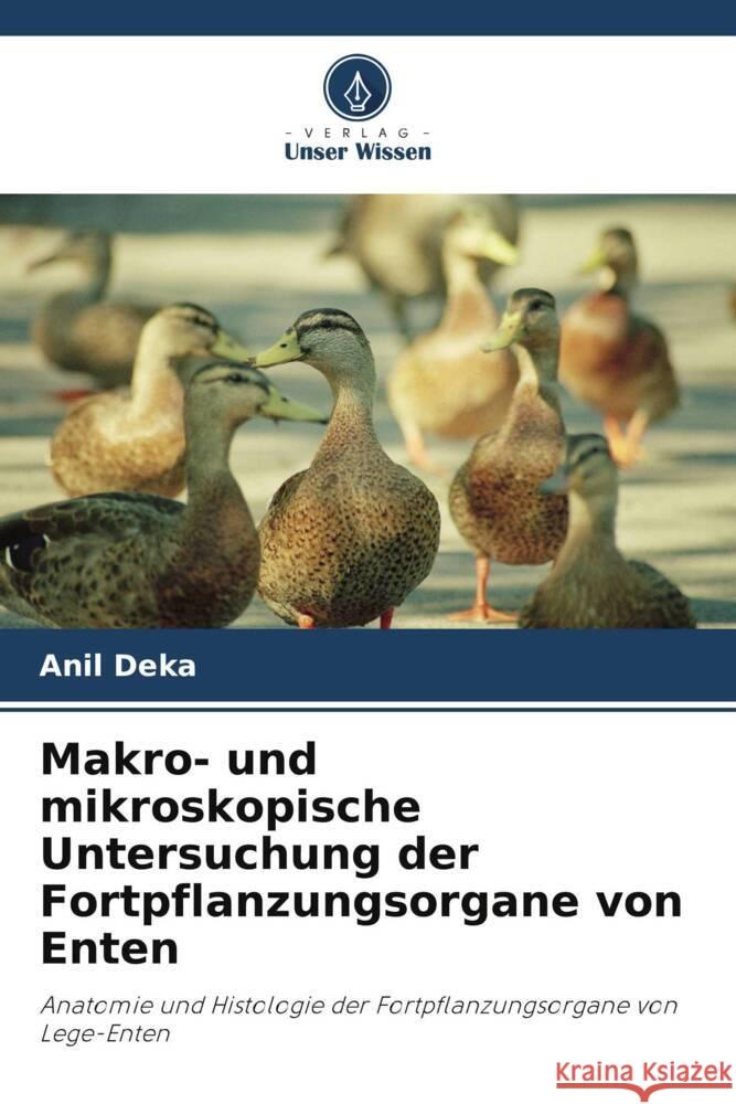 Makro- und mikroskopische Untersuchung der Fortpflanzungsorgane von Enten Deka, Anil 9786205088135